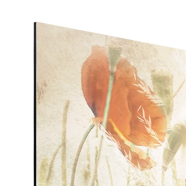 quadros modernos para quarto de casal Poppy Flowers And Grasses In A Field