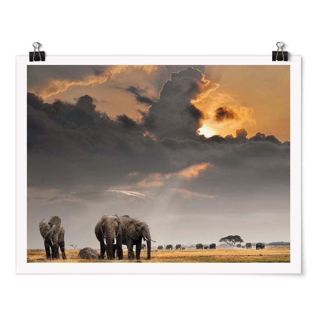 Posters animais Elephants in the Savannah