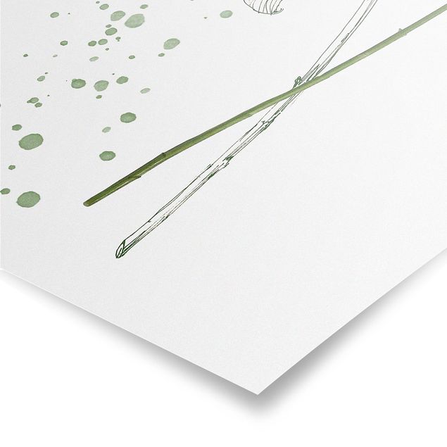 decoração quadros Botanical Watercolour - Lily