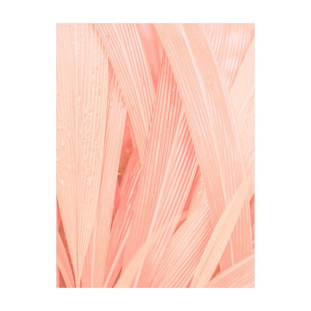 Tapetes selva Palm Leaves Light Pink