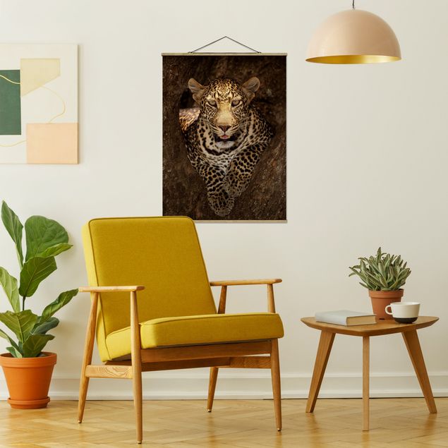 quadros modernos para quarto de casal Leopard Resting On A Tree