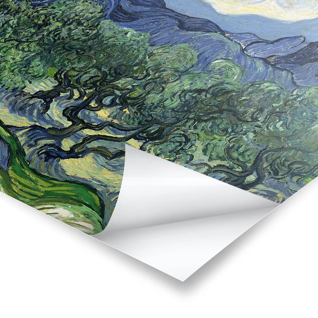 quadros de paisagens Vincent Van Gogh - Olive Trees