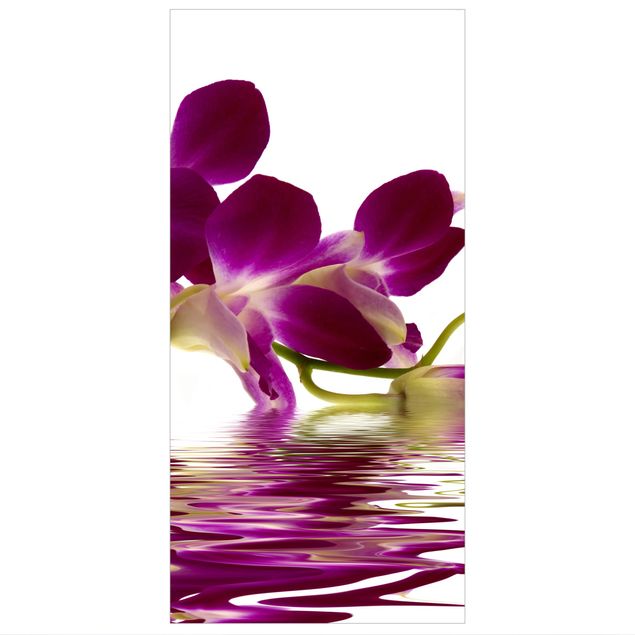 Divisórias de ambiente Pink Orchid Waters