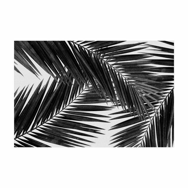 tapete branco e preto View Through Palm Leaves Black And White