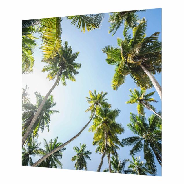 Painel anti-salpicos de cozinha Palm Tree Canopy
