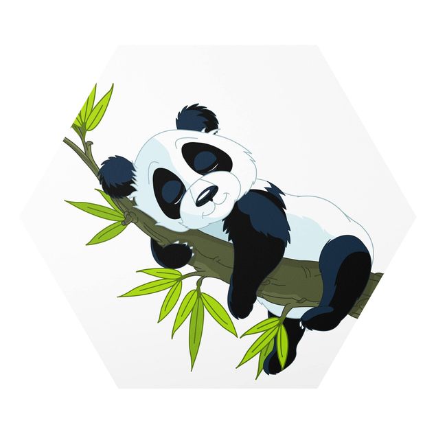 Quadros natureza Sleeping Panda