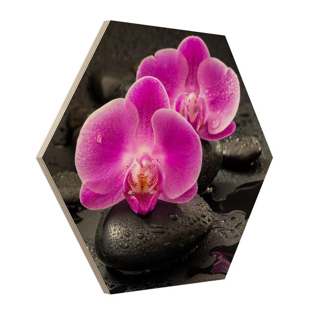 Quadros florais Pink Orchid Flowers On Stones With Drops