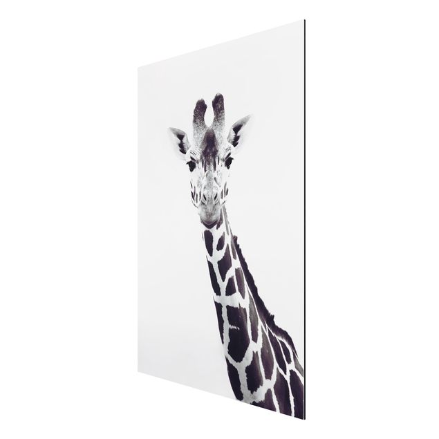 Quadros modernos Giraffe Portrait In Black And White