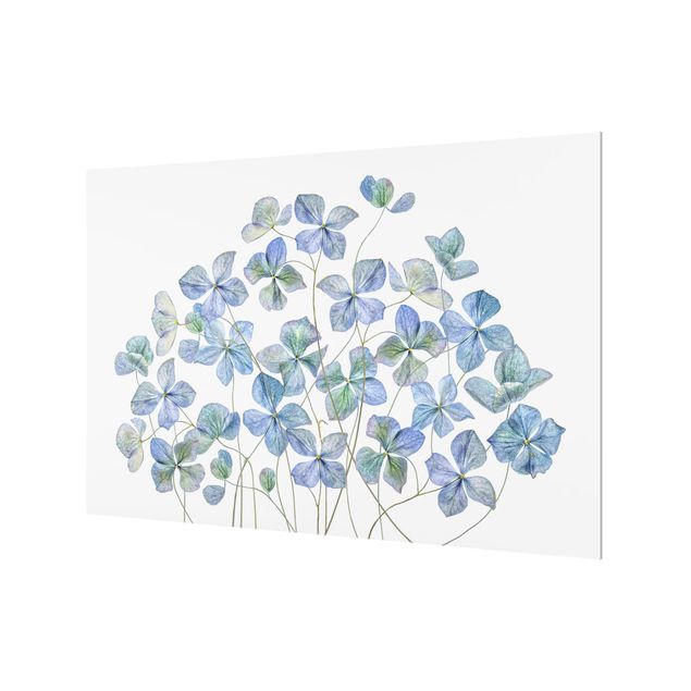 Painel anti-salpicos de cozinha Blue Hydrangea Flowers