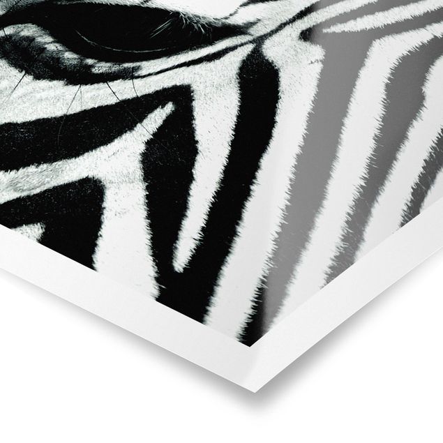 quadros preto e branco para decoração Zebra Crossing