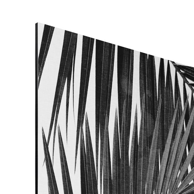 Quadros famosos View Through Palm Leaves Black And White