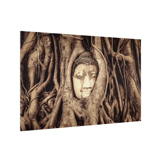 painel anti salpicos cozinha Buddha In Ayutthaya From Tree Roots Lined In Brown