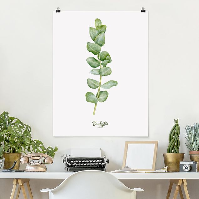 decoraçao para parede de cozinha Watercolour Botany Eucalyptus