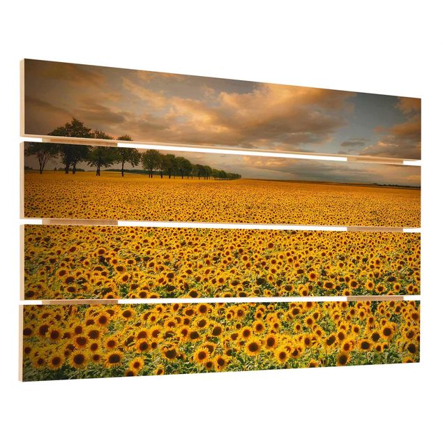 quadro de madeira para parede Field With Sunflowers