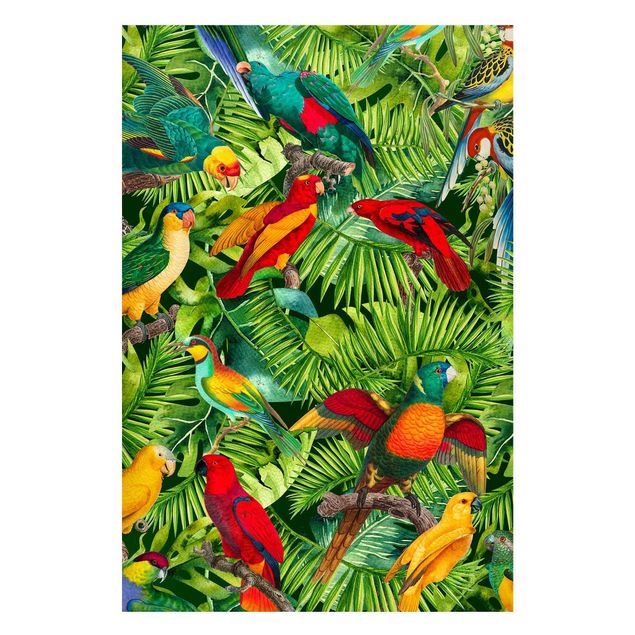 Quadros selva Colourful Collage - Parrots In The Jungle