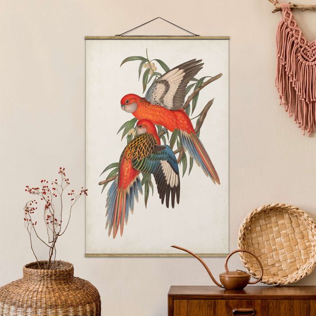 decoraçao para parede de cozinha Tropical Parrot I