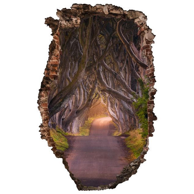 Autocolantes de parede 3D Tunnel Of Trees