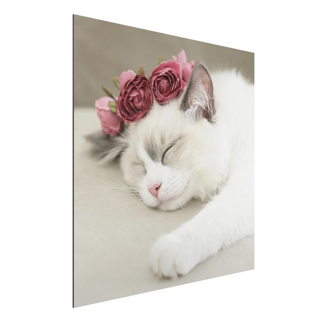 Decoração para quarto infantil Sleeping Cat with Roses
