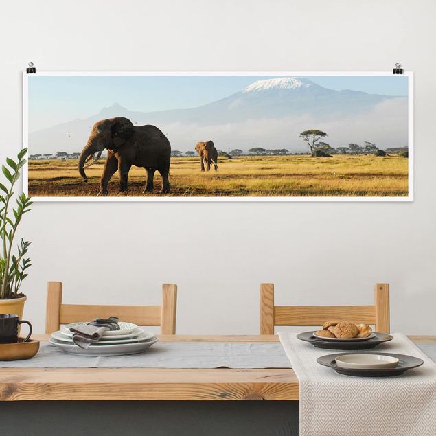 decoraçao cozinha Elephants In Front Of The Kilimanjaro In Kenya