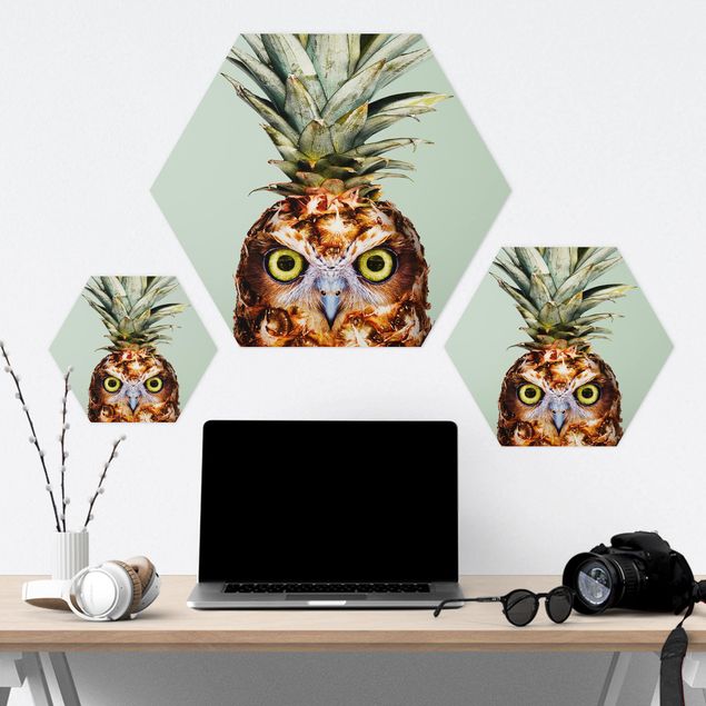 Quadros hexagonais Pineapple With Owl