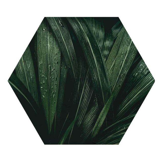 Quadros hexagonais Green Palm Leaves