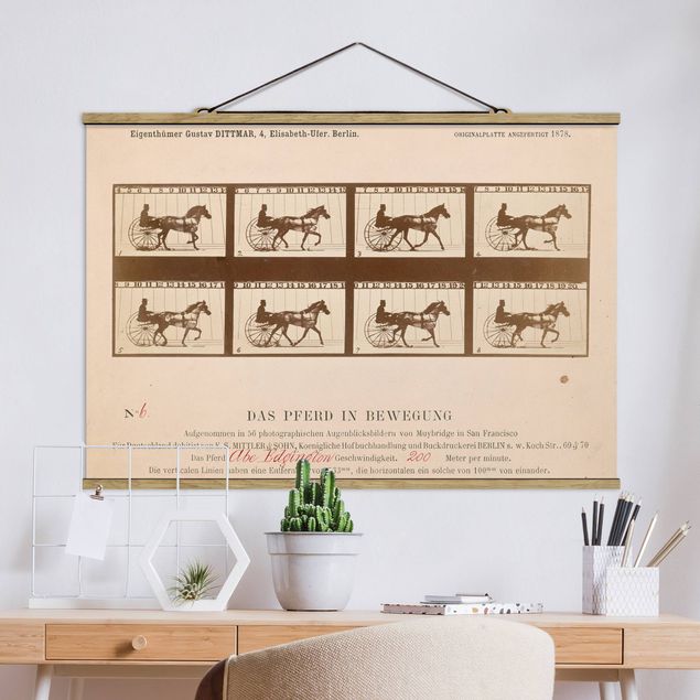 decoraçao para parede de cozinha Eadweard Muybridge - The horse in Motion