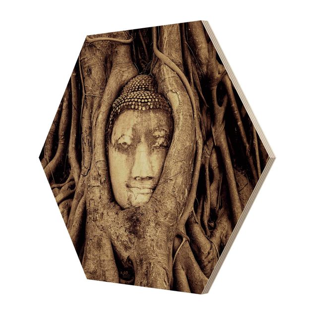 quadro de madeira para parede Buddha In Ayutthaya Lined From Tree Roots In Brown