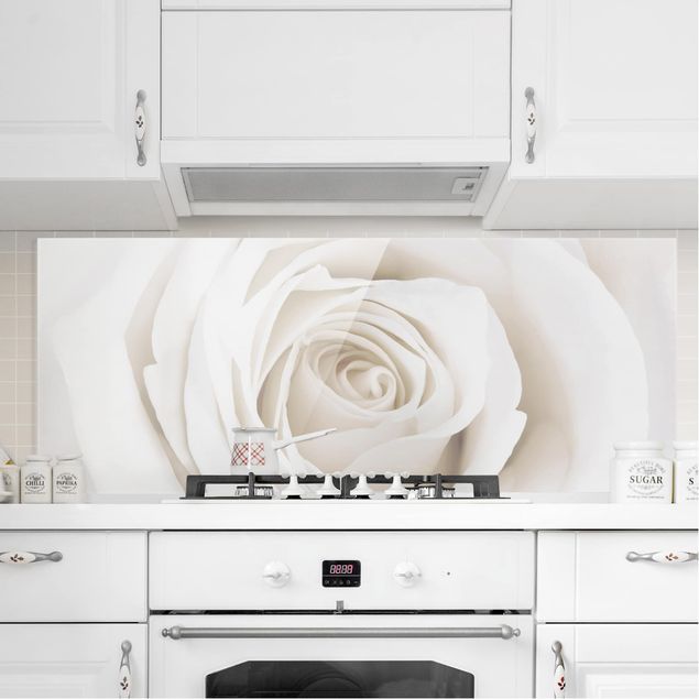 decoraçao cozinha Pretty White Rose