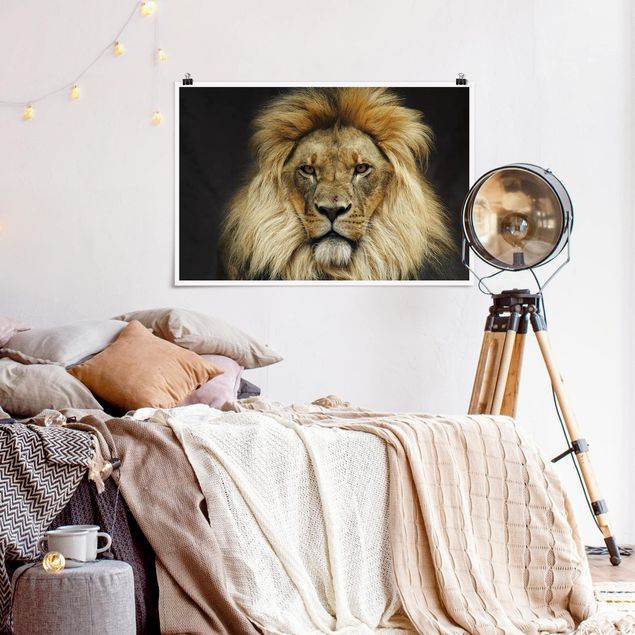 Posters animais Wisdom Of Lion