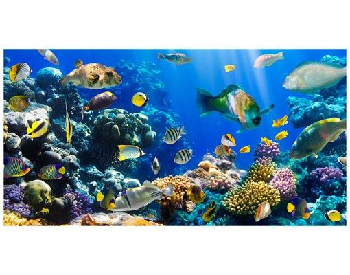 Autocolantes para vidros animais Underwater Reef
