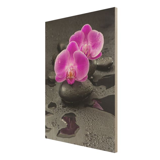 Quadros de Uwe Merkel Pink Orchid Flower On Stones With Drops