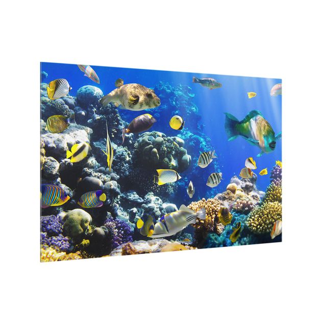 Painel anti-salpicos de cozinha Underwater Reef