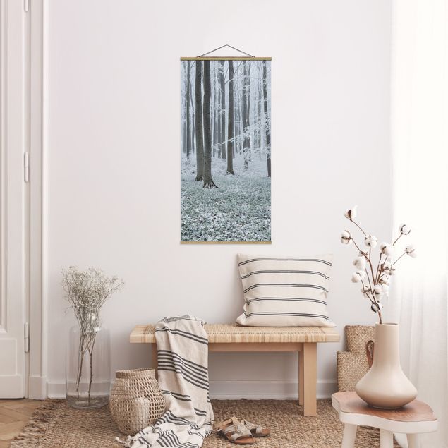 quadro com árvore Beeches With Hoarfrost