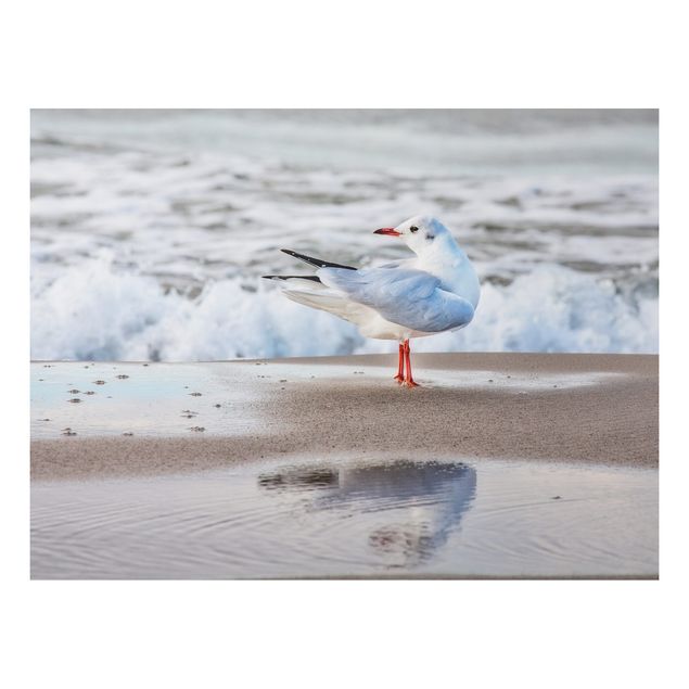 quadros de paisagens Seagull On The Beach In Front Of The Sea