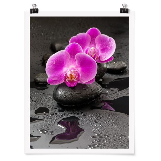 Posters flores Pink Orchid Flower On Stones With Drops