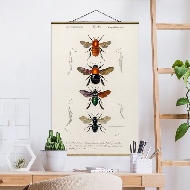 decoraçao para parede de cozinha Vintage Board Insects