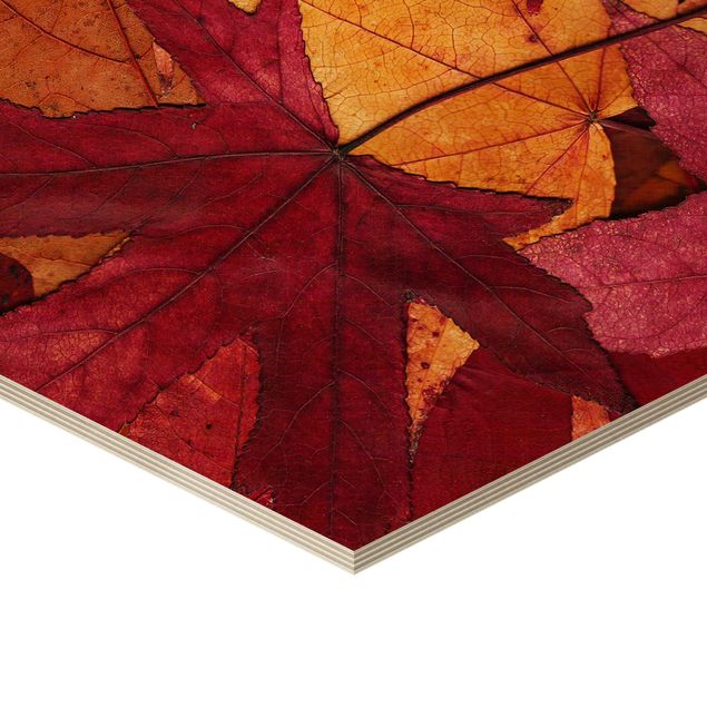 Quadros hexagonais Coloured Leaves