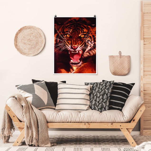 Posters animais Wild Tiger