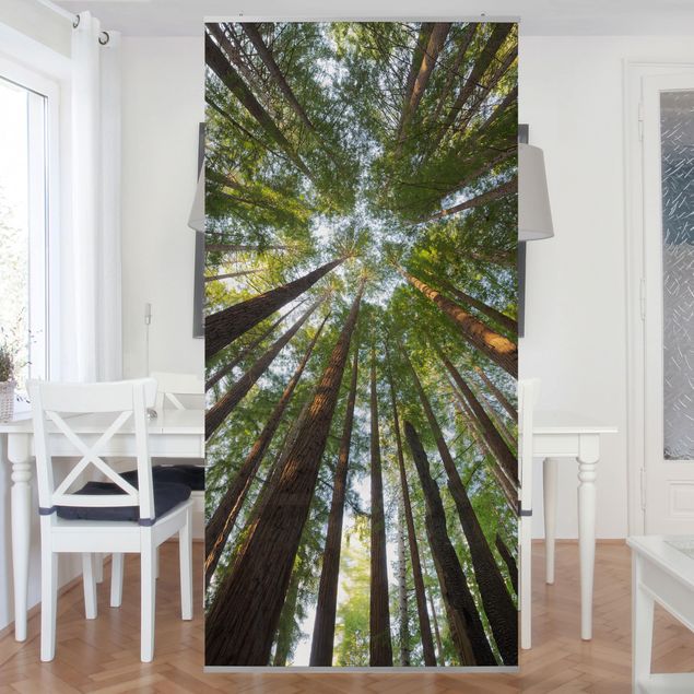 Quadros de Rainer Mirau Sequoia Tree Tops