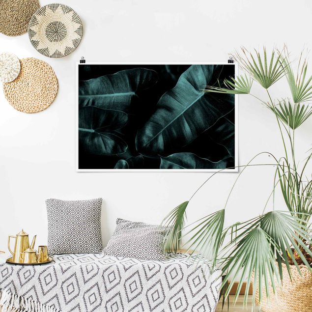 Posters flores Jungle Leaves Dark Green