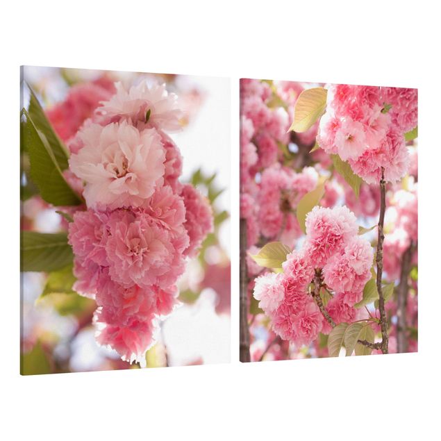 quadros flores Japanese Cherry