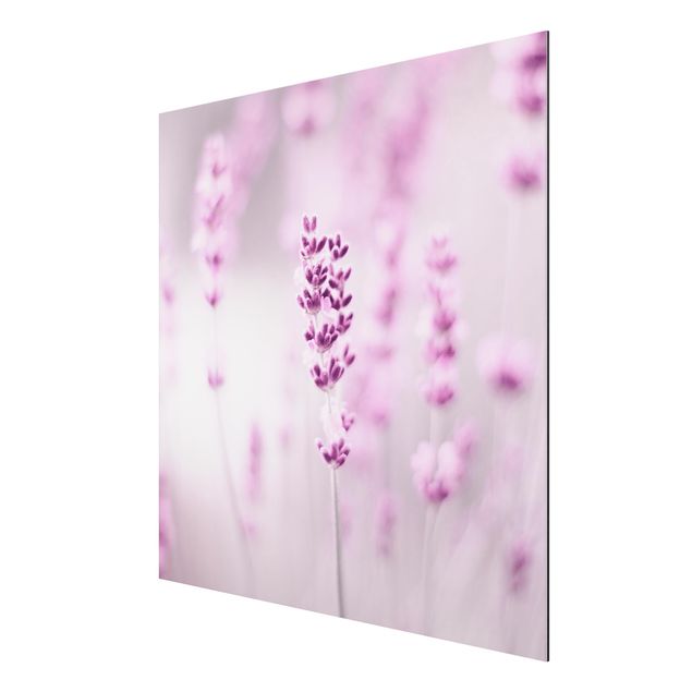 quadros de flores Pale Purple Lavender