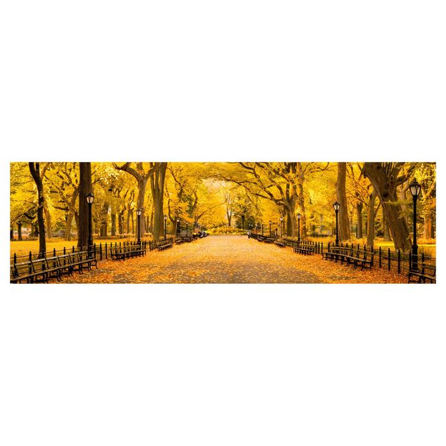 Backsplash de cozinha Autumn In Central Park