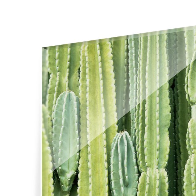 Painel anti-salpicos de cozinha Cactus Wall
