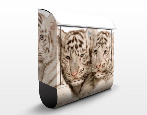 Caixas de correio animais Bengal Tiger Babys