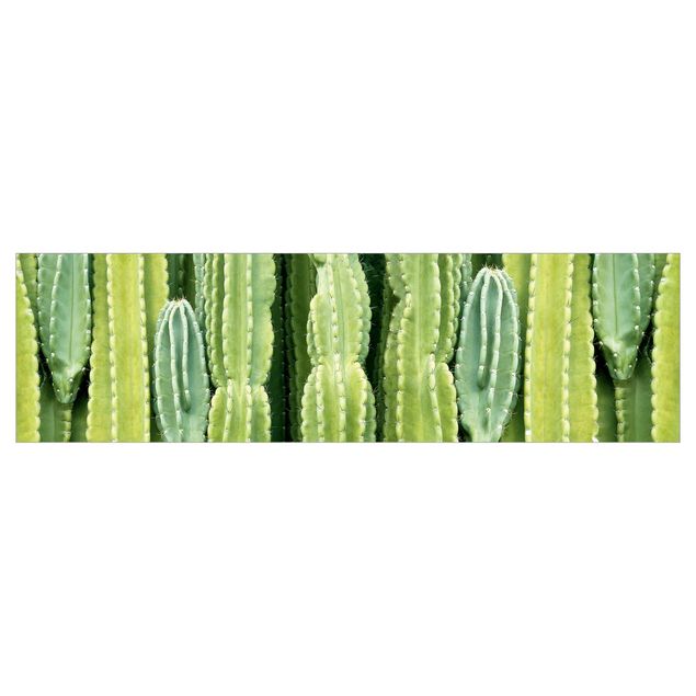 Backsplash de cozinha Cactus Wall
