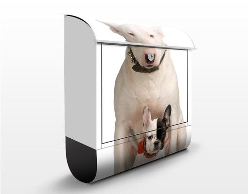 Caixas de correio animais Bull Terrier and Friend