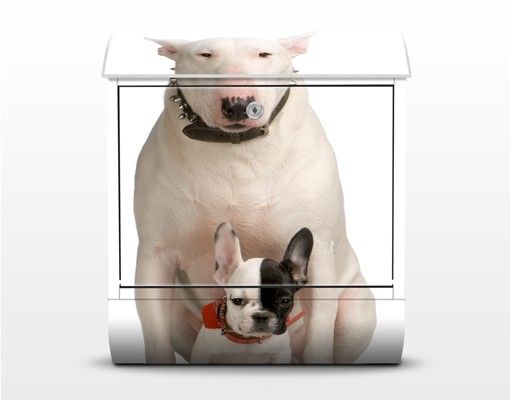 caixas de correio Bull Terrier and Friend