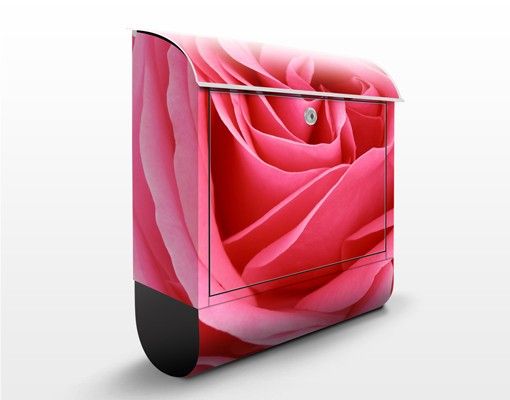 Caixas de correio flores Lustful Pink Rose