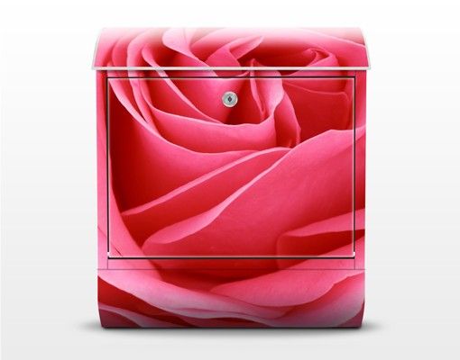 Caixas de correio em rosa Lustful Pink Rose
